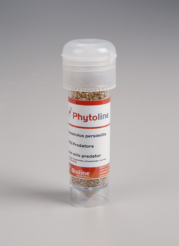 Phytoline - 2000 per 30ml Vial - Biological Control